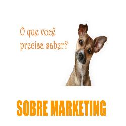 Baixar O que você precisa saber sobre MARKETING pdf, epub, eBook