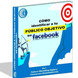 Baixar EBOOK: ¿Cómo identificar a tu público objetivo en facebook? pdf, epub, eBook