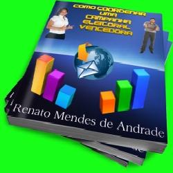 Baixar Como coordenar uma campanha eleitoral vencedora pdf, epub, eBook