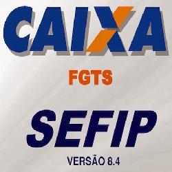 Baixar Curso Prático Online Sefip pdf, epub, eBook