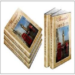 Baixar LONDRES: AMOR E ÓDIO pdf, epub, eBook
