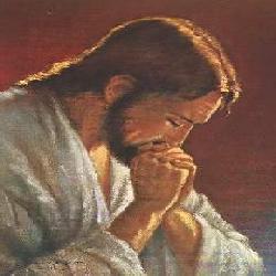 Baixar Milagres e Parábolas de Jesus Cristo pdf, epub, eBook