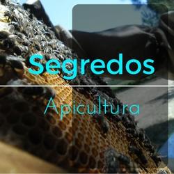 Baixar Os Segredos da Apicultura pdf, epub, eBook