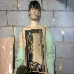 Baixar Criando seu Próprio Robô pdf, epub, eBook