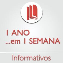 Baixar 1 Ano em 1 Semana – Informativos Resumidos STF e STJ + Bônus pdf, epub, eBook