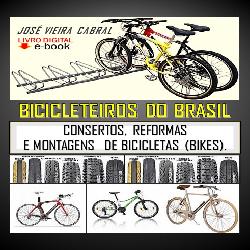 Baixar e-book/08. Bicicleteiros do Brasil pdf, epub, eBook