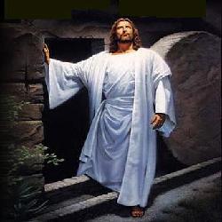 Baixar livro tom certo pdf, epub, eBook