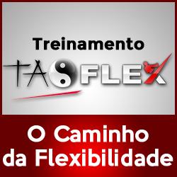 Baixar Tao Flex – O Caminho da Flexibilidade pdf, epub, eBook