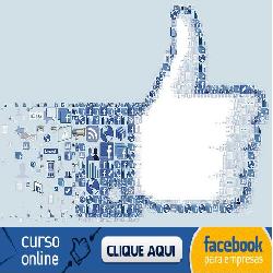 Baixar Facebook Empresa – FanPage Empresarial pdf, epub, eBook