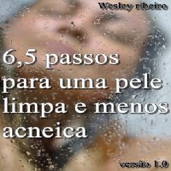 Baixar 6,5 passos para uma pele limpa e menos acneica pdf, epub, eBook