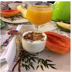 Baixar Light e Detox pdf, epub, eBook