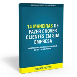 Baixar 14 Maneiras de fazer chover clientes em sua empresa pdf, epub, eBook
