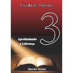 Baixar ESCOLA DE LÍDERES – MÓDULO III – Aprofundando a Liderança pdf, epub, eBook