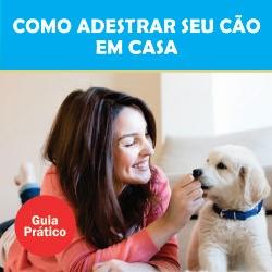 Baixar Como Adestrar seu Cão em Casa pdf, epub, eBook