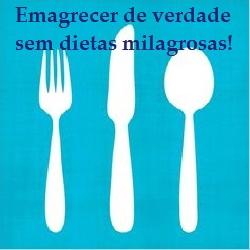 Baixar Emagrecer de verdade sem dietas milagrosas! pdf, epub, eBook