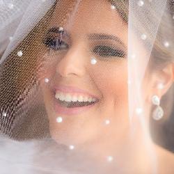 Baixar Guia da Noiva Econômica pdf, epub, eBook