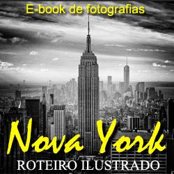 Baixar Nova York – Roteiro Ilustrado pdf, epub, eBook