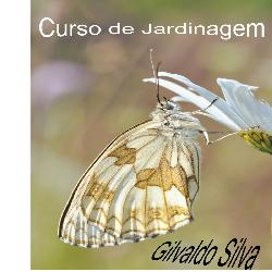 Baixar E-book pdf, epub, eBook