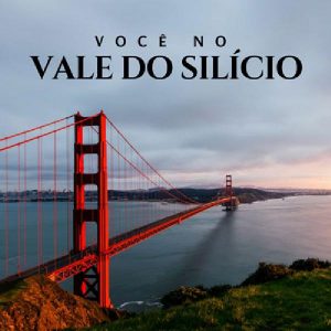Baixar Você no Vale do Silício! pdf, epub, eBook