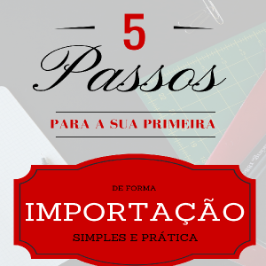 Baixar 5 Passos Para A Sua Primeira Importação pdf, epub, eBook