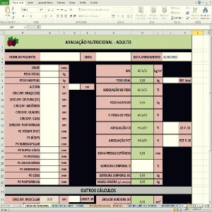 Baixar Planilha de Cálculos de Avaliação Nutricional e Necessidades Energéticas pdf, epub, eBook