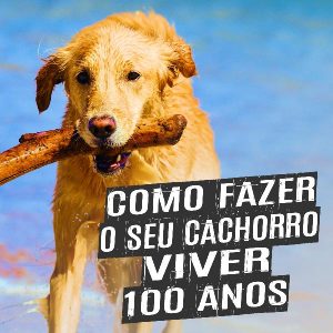 Baixar Como Fazer o Seu Cachorro Viver 100 Anos (Livro Digital) – Glauber Leal pdf, epub, eBook