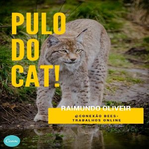 Baixar E-BOOK PULO DO CAT! pdf, epub, eBook
