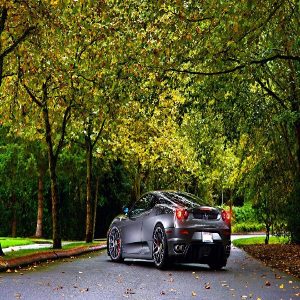 Baixar Investimentos Inteligentes pdf, epub, eBook