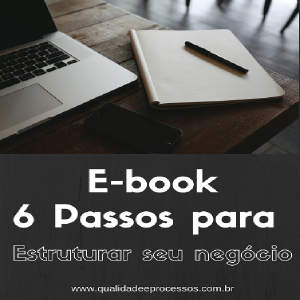 Baixar E-book 6 Passos para Estruturar o seu Negócio pdf, epub, eBook