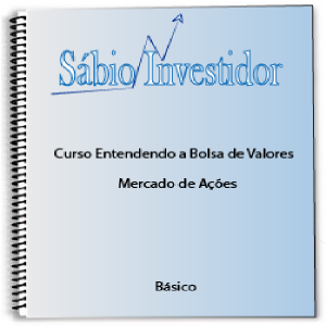 Baixar Curso Entendendo a Bolsa de valores – Mercado de Ações – Nível Básico pdf, epub, eBook