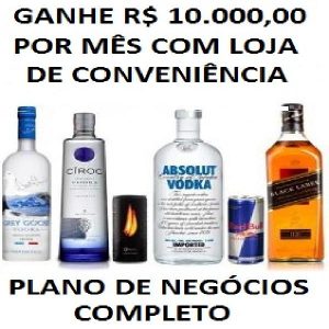 Baixar Ganhe 10.000,00 por mês com Loja de Conveniência. pdf, epub, eBook