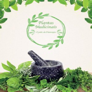 Baixar Plantas Medicinais – O Poder da Fitoterapia pdf, epub, eBook