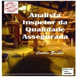 Baixar Analista Inspetora da Qualidade Assegurada pdf, epub, eBook