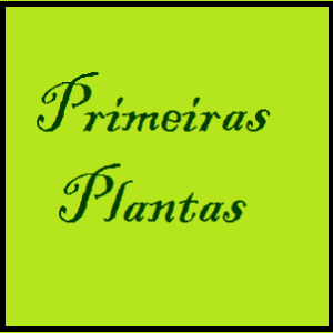 Baixar Primeiras Plantas pdf, epub, eBook