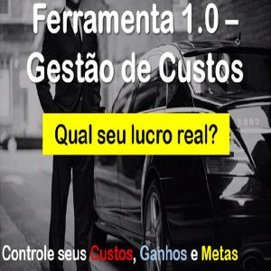 Baixar Ferramenta: Gestão de Custos pdf, epub, eBook