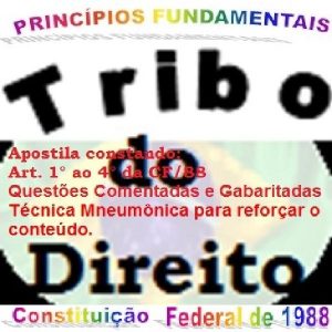 Baixar DIREITO_Princípios Fundamentais da CF/88_ pdf pdf, epub, eBook