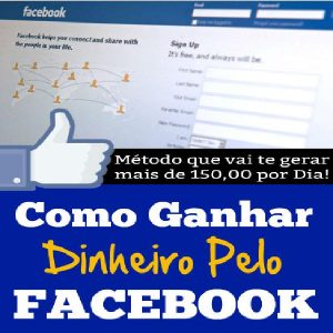 Baixar Como Ganhar Dinheiro Pelo Facebook pdf, epub, eBook