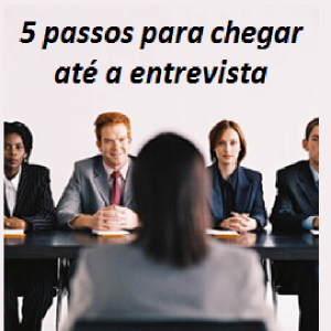 Baixar 5 passos para chegar até a entrevista pdf, epub, eBook