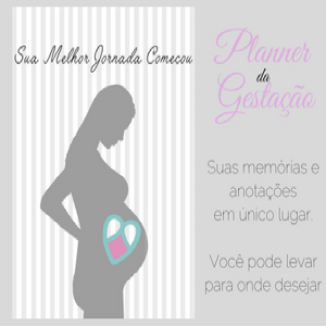 Baixar Planner da Gestação por Bárbara Sarkis pdf, epub, eBook