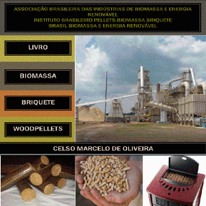 Baixar Livro Biomassa Bioenergia Pellets Briquetes 2016 pdf, epub, eBook