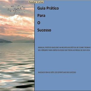 Baixar Guia prático para o sucesso pdf, epub, eBook