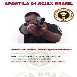 Baixar DEFESA PESSOAL SEM MISTÉRIOS pdf, epub, eBook