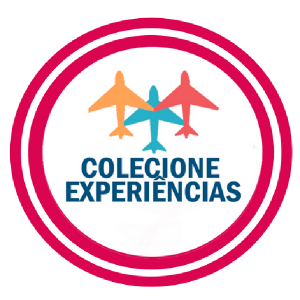 Baixar Colecione Experiências pdf, epub, eBook