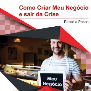 Baixar Como Criar Meu Negócio e sair da Crise pdf, epub, eBook