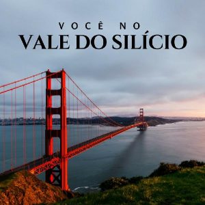 Baixar eBook Você no Vale do Silício pdf, epub, eBook