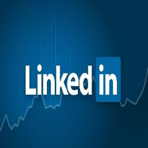 Baixar Linkedin – Dicas Profissionais Para Executivos pdf, epub, eBook