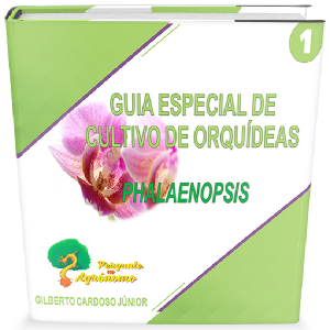 Baixar Guia Especial de Cultivo de Orquídeas: Phalaenopsis pdf, epub, eBook