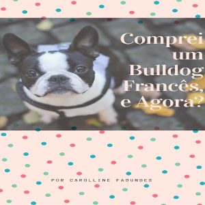 Baixar E-book Comprei Um Bulldog Francês, e Agora? pdf, epub, eBook