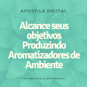 Baixar Alcance seus objetivos produzindo Aromatizadores de Ambiente pdf, epub, eBook