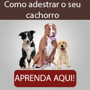 Baixar Como adestrar o seu cachorro pdf, epub, eBook